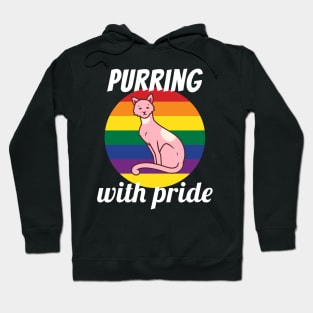 Purring With Gay Pride Cat Vintage Retro Sunset Hoodie